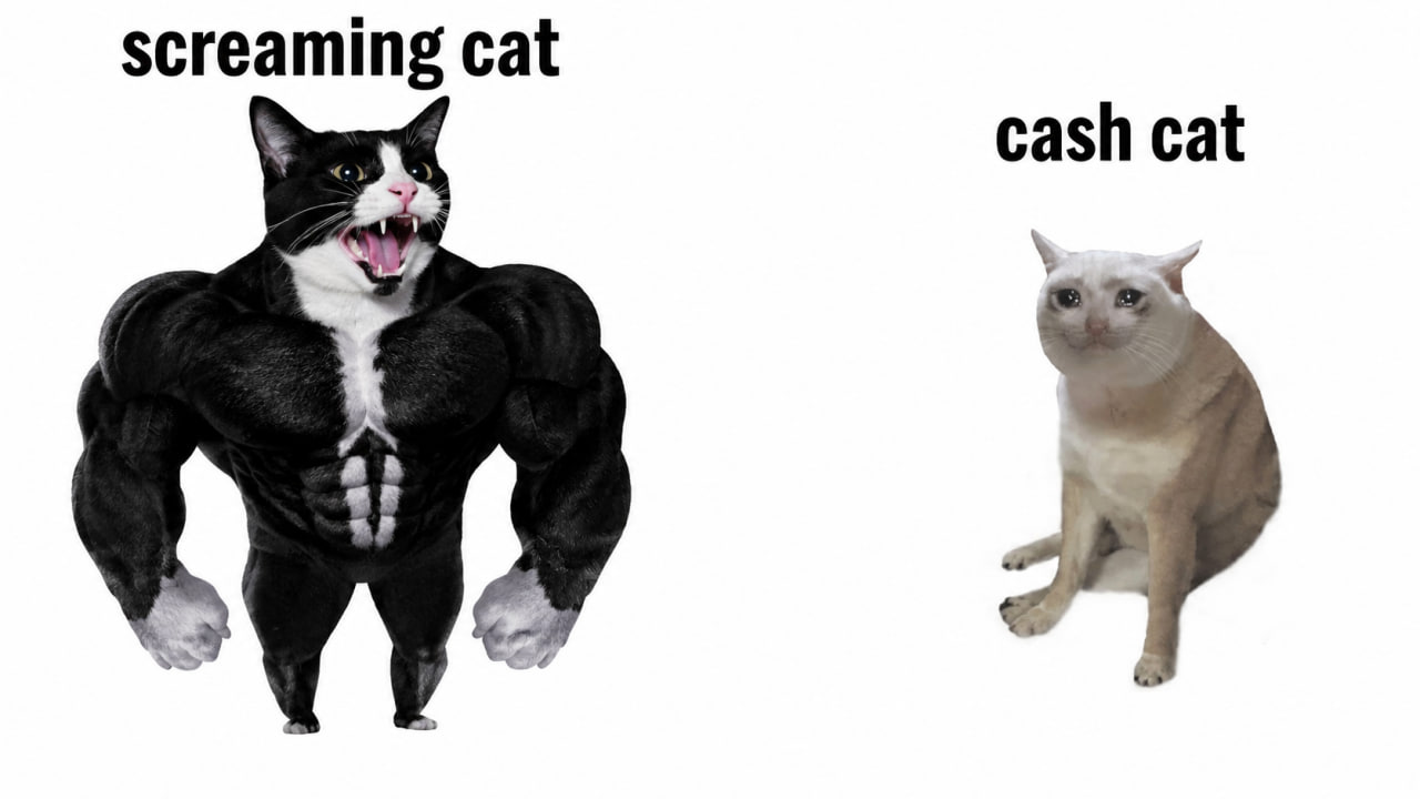 Screaming Cat community meme 16